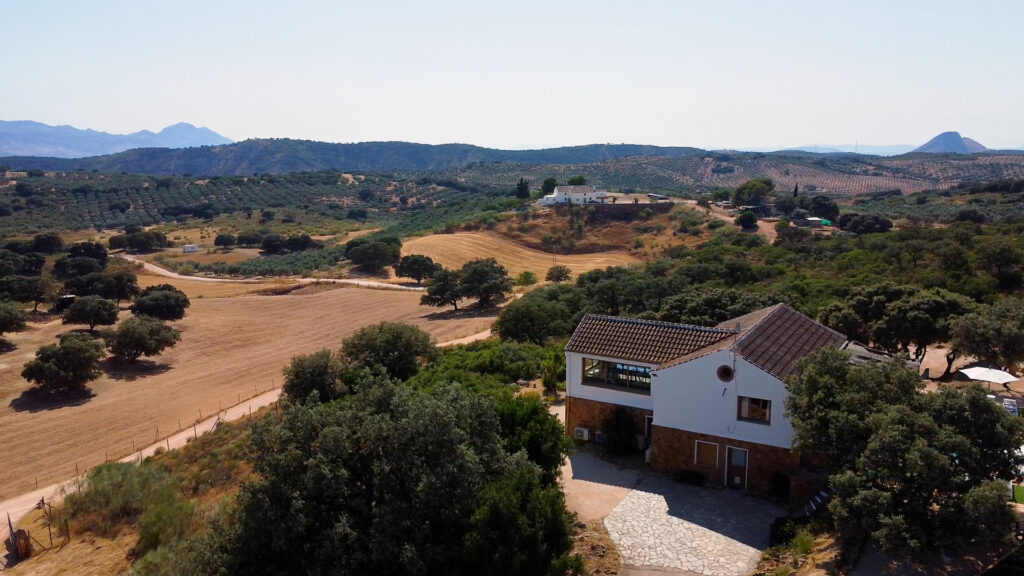 Finca La Calma del Encinar