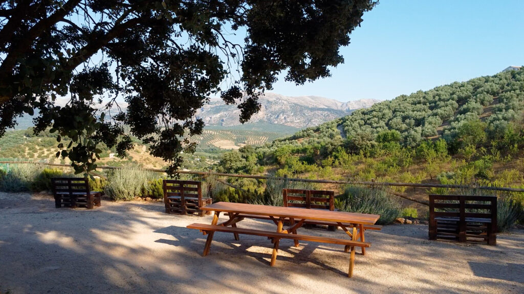 Cortijo El Jaral del Brosque