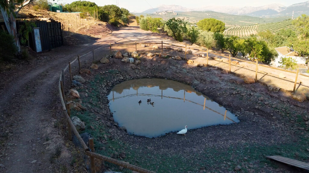 Cortijo El Jaral del Brosque
