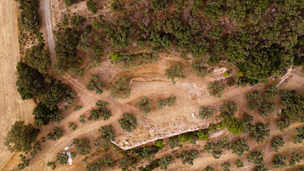 Finca Olea