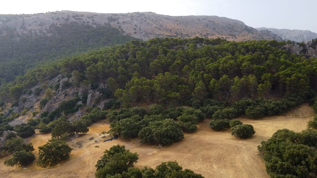 Finca Olea