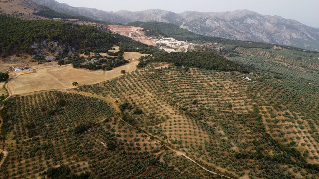 Finca Olea