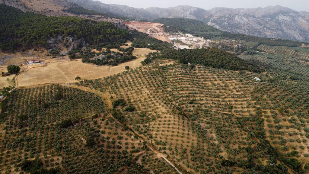 Finca Olea