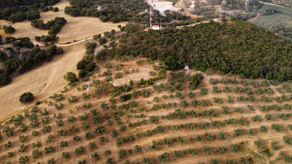 Finca Olea