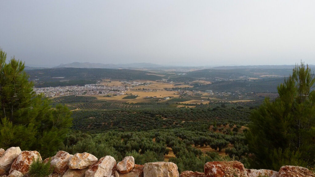 Finca Olea
