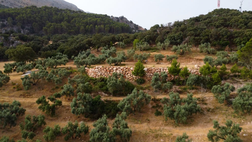 Finca Olea