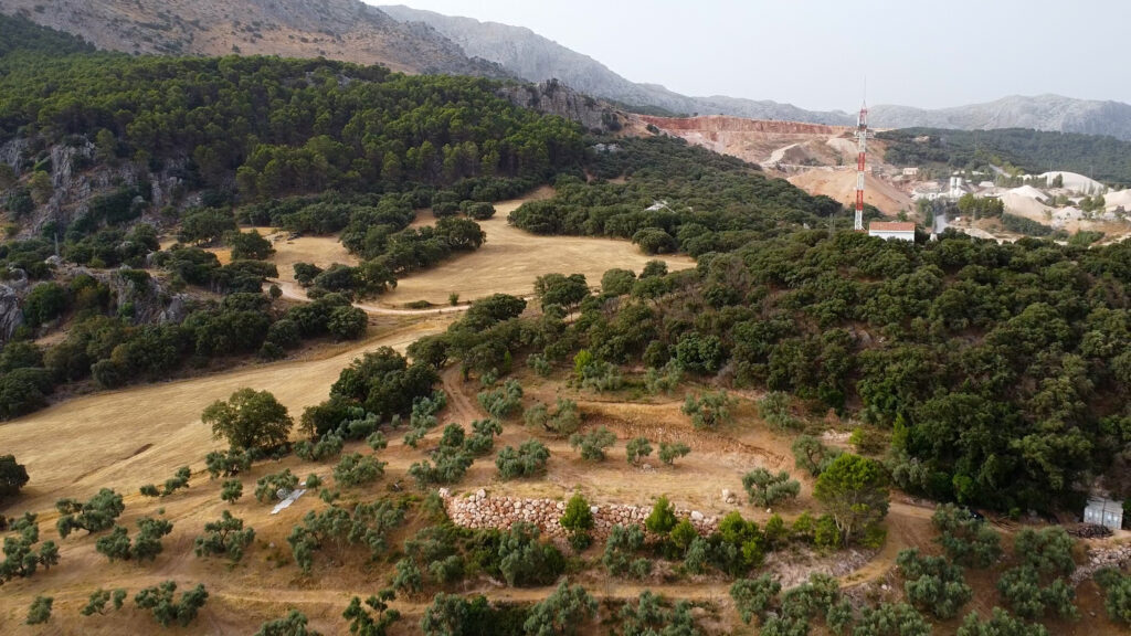 Finca Olea