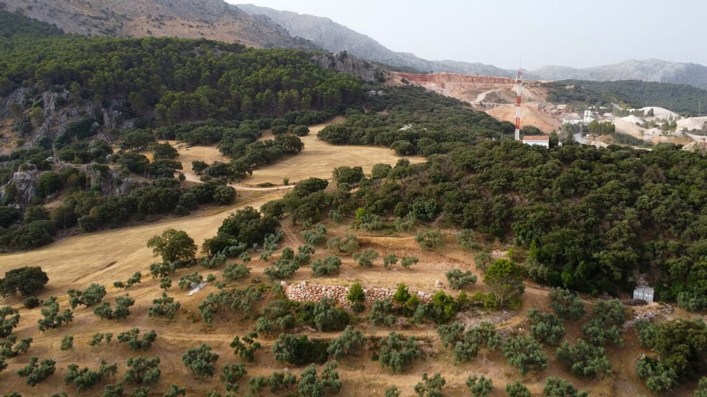 Finca Olea