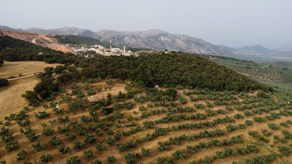 Finca Olea