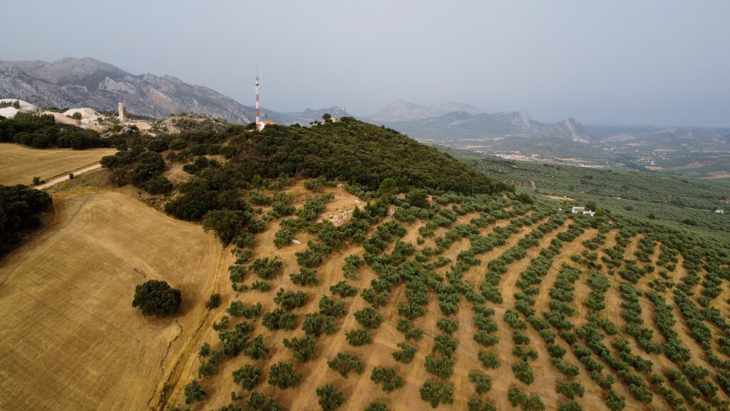 Finca Olea
