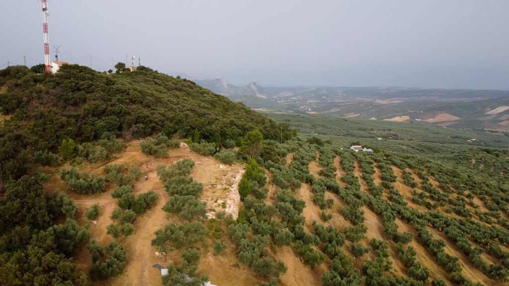 Finca Olea