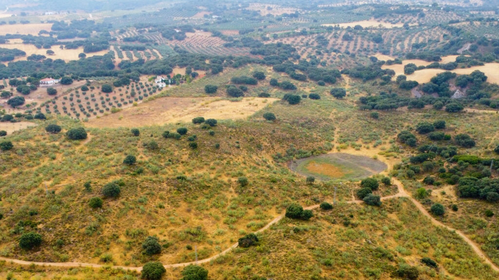 Finca La Laguna del Encinar