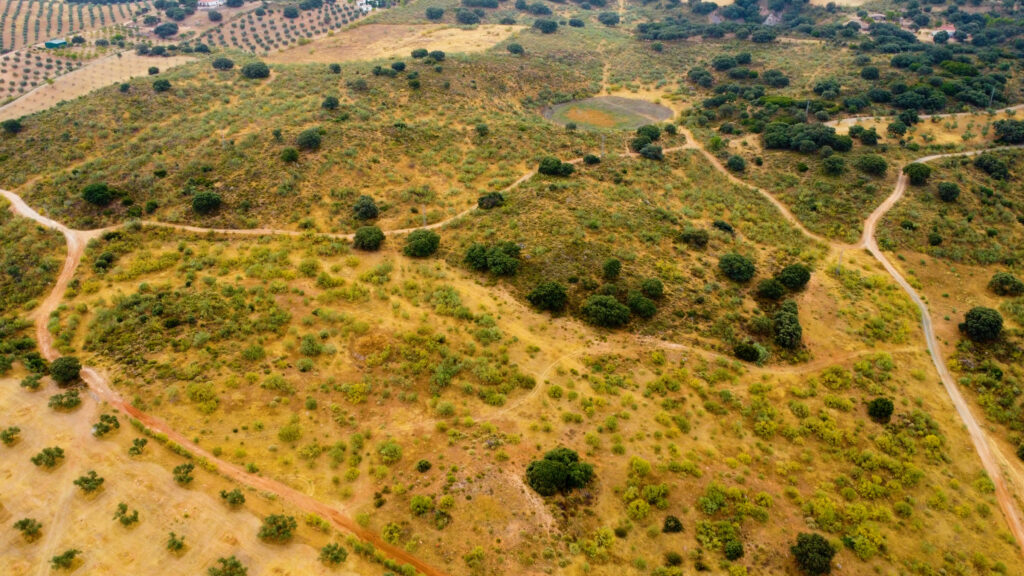 Finca La Laguna del Encinar