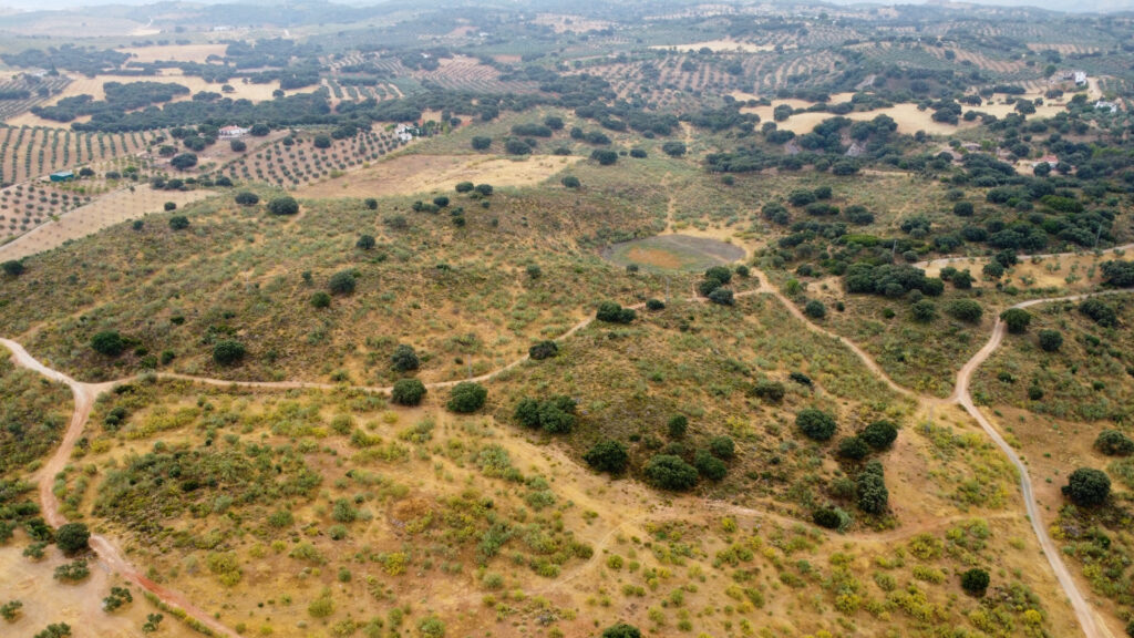 Finca La Laguna del Encinar