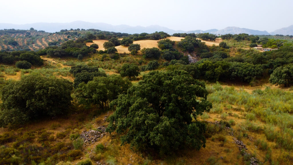 Finca La Laguna del Encinar