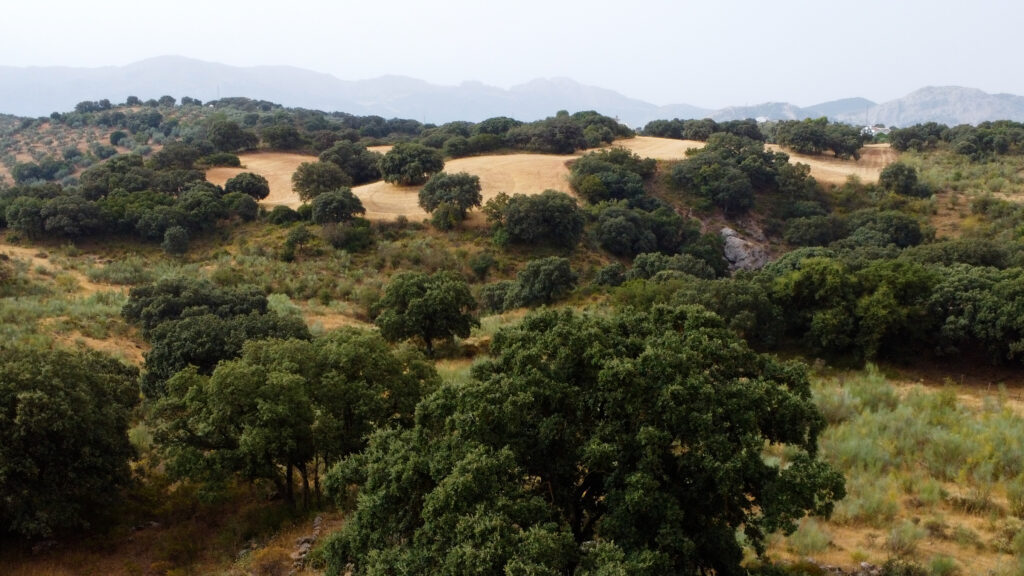 Finca La Laguna del Encinar