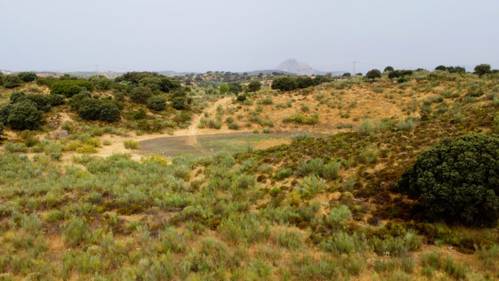 Finca La Laguna del Encinar