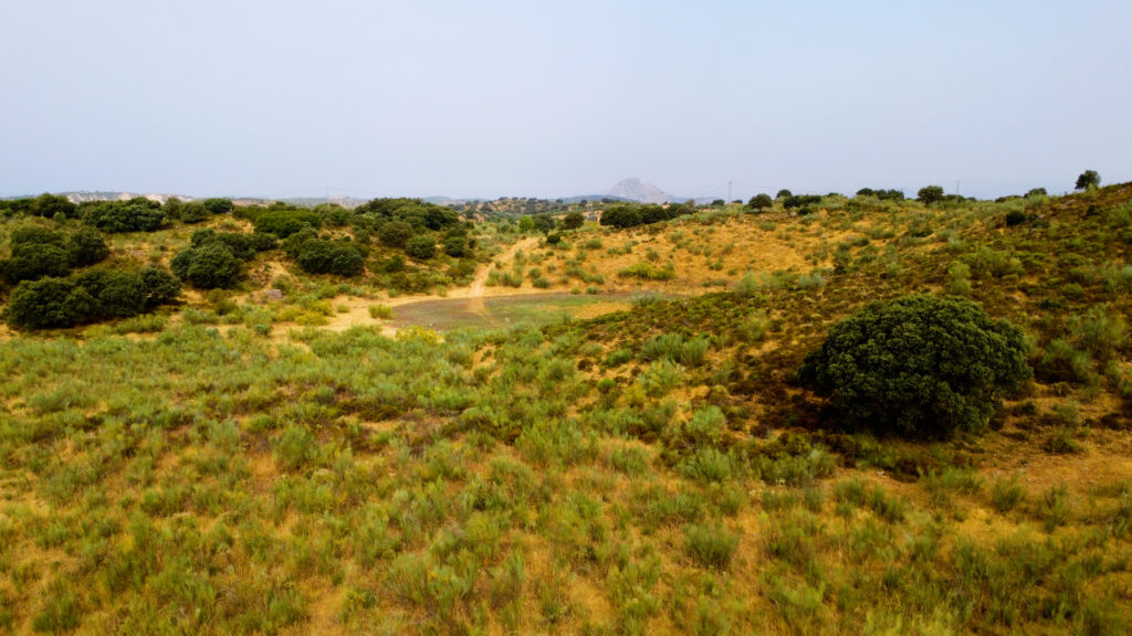 Finca La Laguna del Encinar