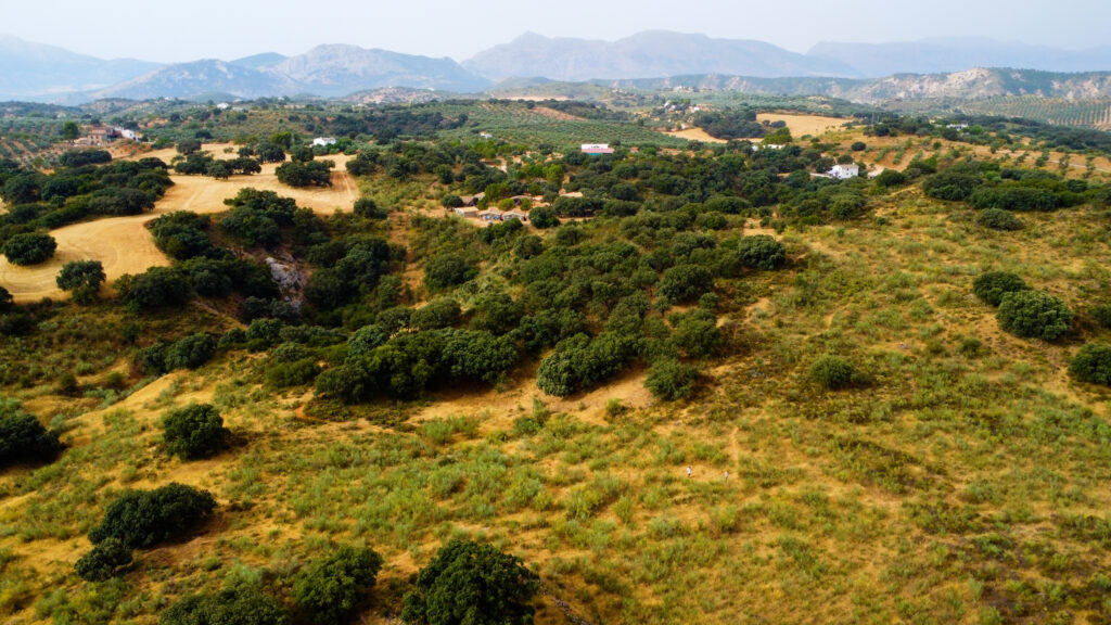 Finca La Laguna del Encinar
