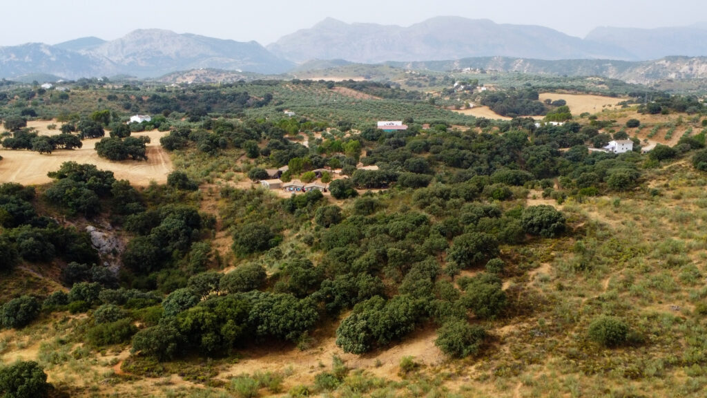 Finca La Laguna del Encinar
