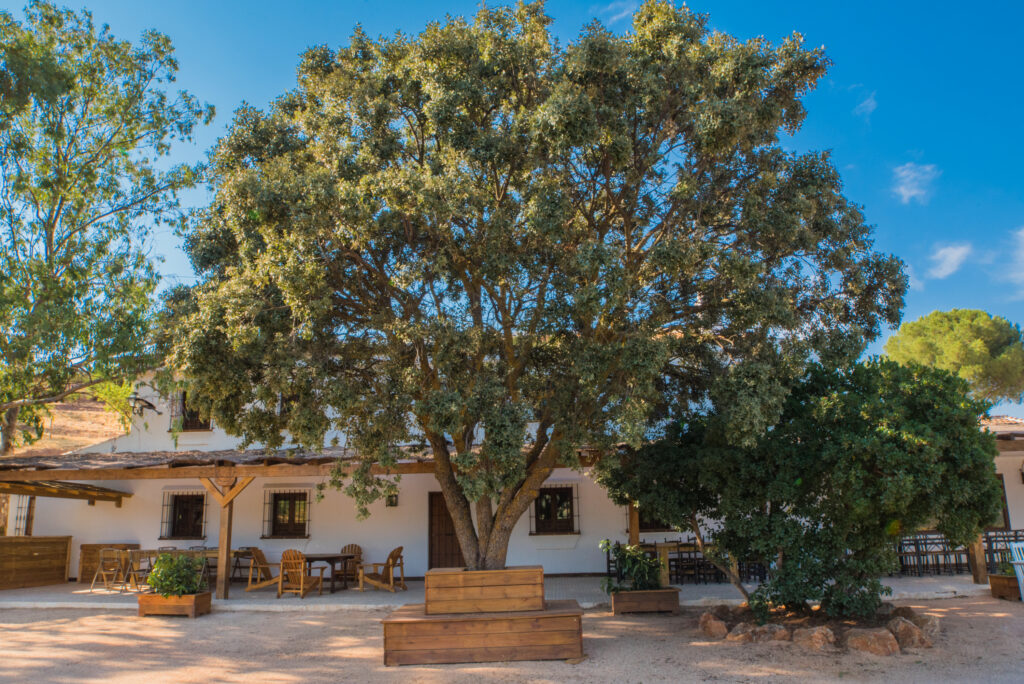 Cortijo El Jaral del Brosque