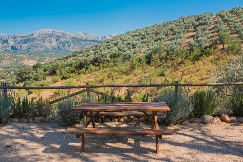 Cortijo El Jaral del Brosque