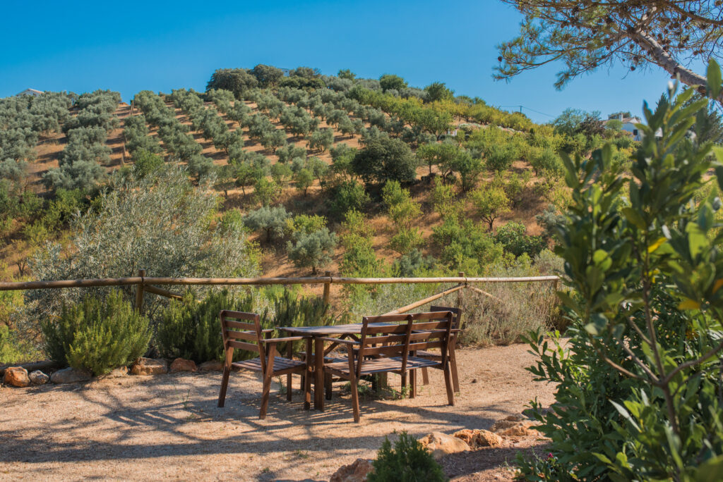 Cortijo El Jaral del Brosque