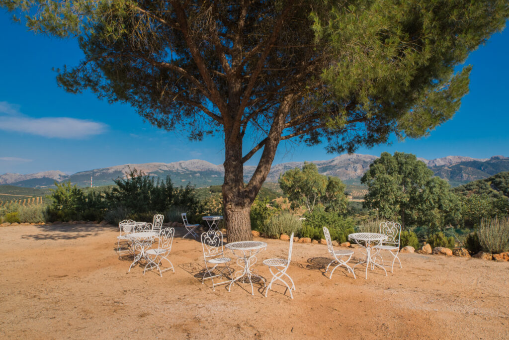 Cortijo El Jaral del Brosque